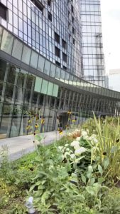 タワーマンション