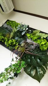 ウォールグリーン