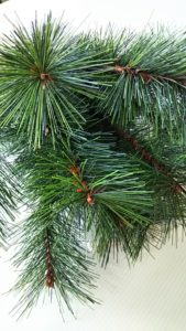 イベント出張フラワーアレンジ教室