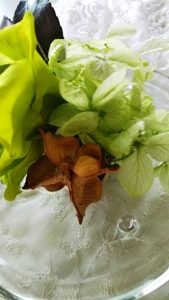 イベント出張フラワーアレンジ教室