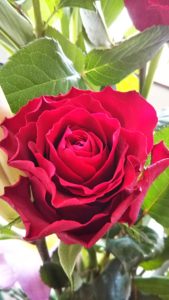 フラワーアレンジメント