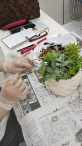 多肉植物の寄せ植え教室
