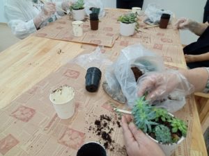 多肉ワークショップ
